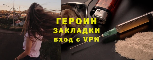 ГАЛЛЮЦИНОГЕННЫЕ ГРИБЫ Козловка