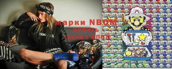 ГАЛЛЮЦИНОГЕННЫЕ ГРИБЫ Козловка