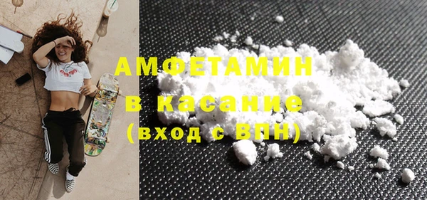ГАЛЛЮЦИНОГЕННЫЕ ГРИБЫ Козловка
