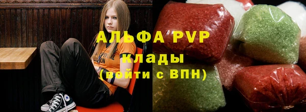 ГАЛЛЮЦИНОГЕННЫЕ ГРИБЫ Козловка