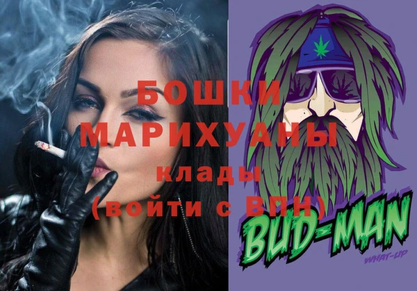ГАЛЛЮЦИНОГЕННЫЕ ГРИБЫ Козловка
