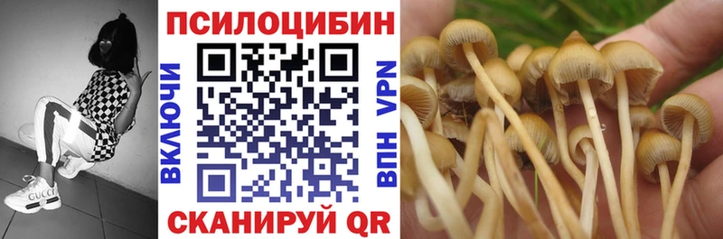 Купить где  Лесосибирск  Галлюциногенные грибы MAGIC MUSHROOMS 